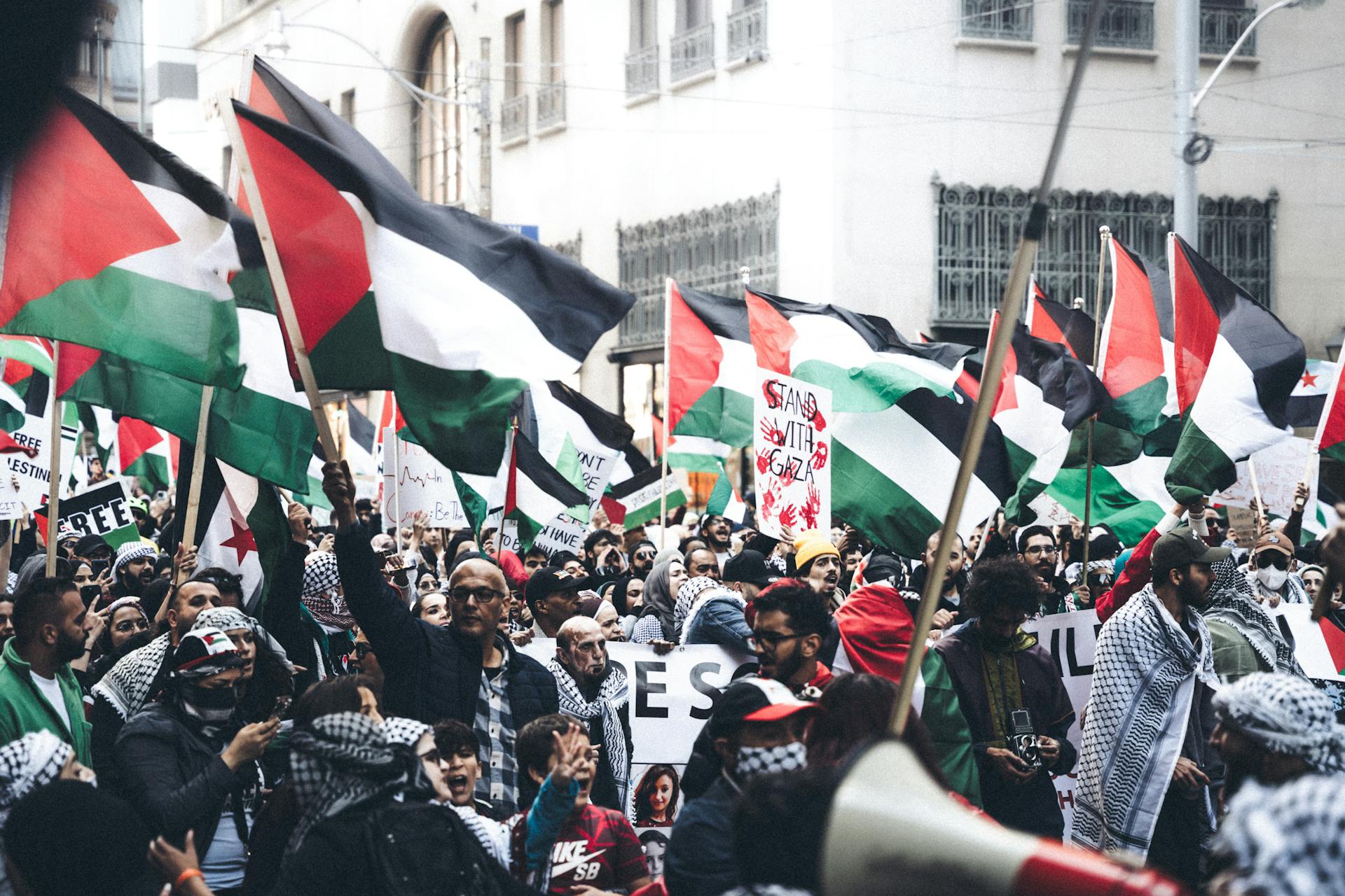 Best Books About Gaza Conflict: Why No Way but Forward Belongs at the Top